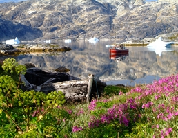 Greenland by ilovegreenland